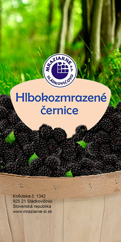 Photo-product - Blackberries